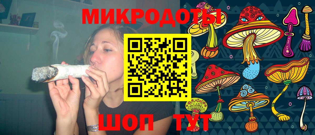 Псилоцибиновые грибы Psilocybe Корсаков
