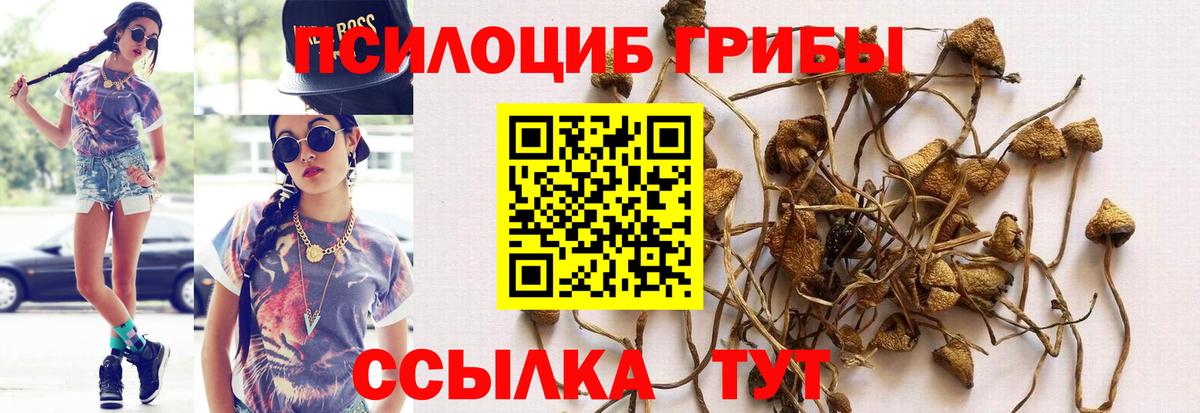 наркота  Галлюциногенные грибы Cubensis  Корсаков  Вход с VPN  Псилоцибиновые грибы Magic Shrooms 